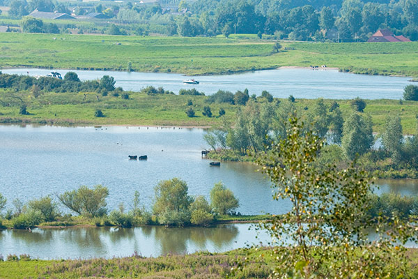 wandelexcursie natuurgebied de blauwe kamer in wageningen rhenen, de blaauwe kamer, blaauwe arena