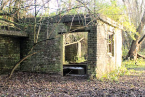 wandelexcursie, restanten van de steenfabriek in wageningen rhenen, de rijn, natuurgebied de blauwe kamer, naast de blaauwe arena